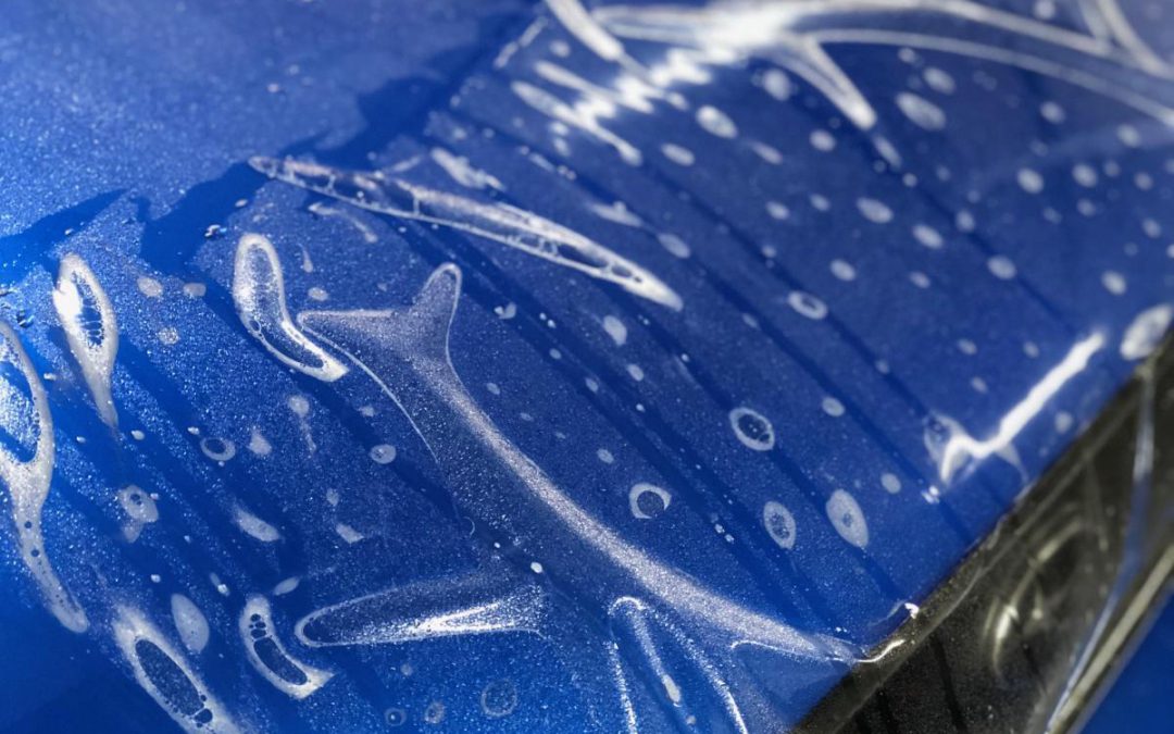 Subaru Impreza Paint Protection