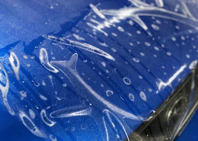 Subaru Impreza Paint Protection