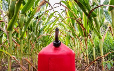 2022 British Motor Show embraces biofuel